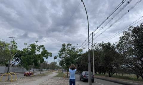 Alcaldía de Neiva y ESIP, denuncian nuevo hurto en la avenida Inés García de Durán