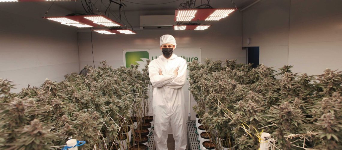 Colombia avanza en uso regulado de cannabis medicinal