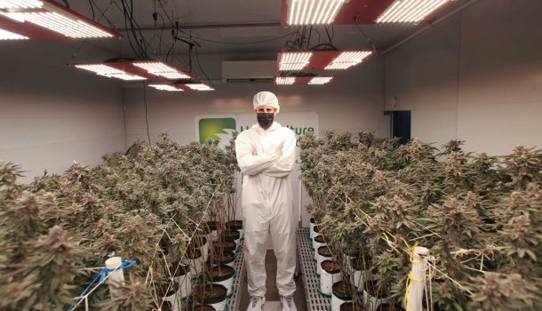 Colombia avanza en uso regulado de cannabis medicinal