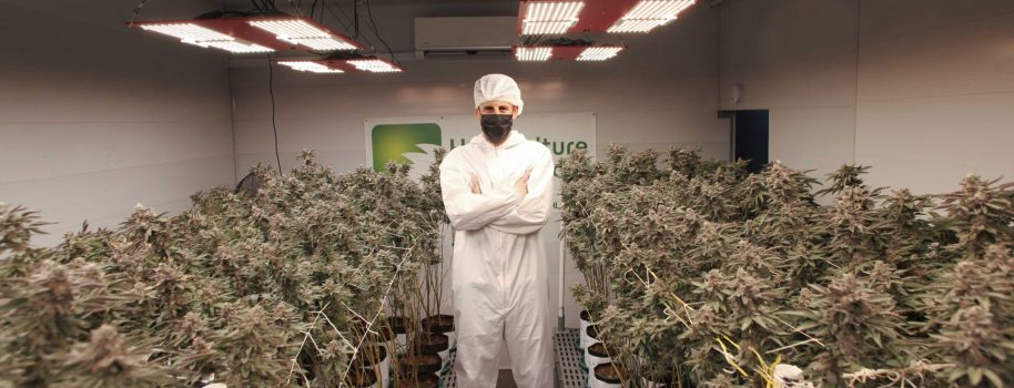 Colombia avanza en uso regulado de cannabis medicinal