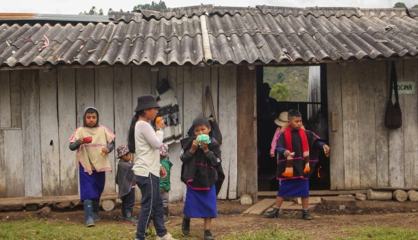 Convocatoria Audiencia Pública por la defensa de la vida, el DIH, la paz y la armonía de los territorios