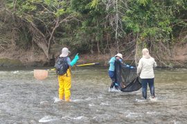 Ecopetrol fortalece el monitoreo de biodiversidad y la participación comunitaria en la ecoreserva La Tribuna
