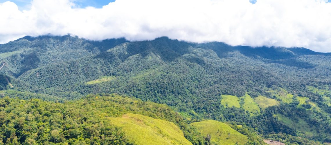 Familias de Colombia, Huila, cultivan mientras protegen el Páramo de Las Oseras