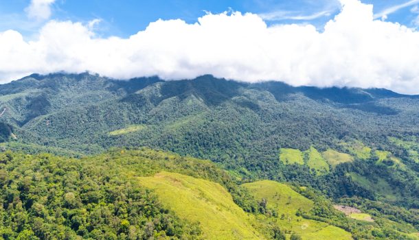 Familias de Colombia, Huila, cultivan mientras protegen el Páramo de Las Oseras