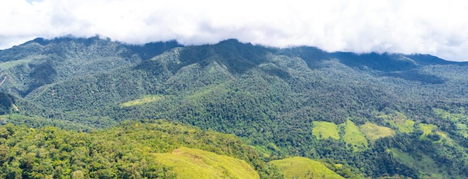 Familias de Colombia, Huila, cultivan mientras protegen el Páramo de Las Oseras