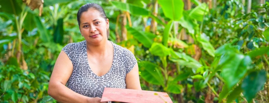 Familias guardianas de las abejas meliponas, conservan el Páramo de Miraflores
