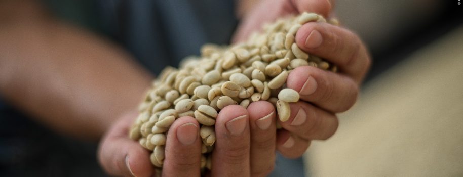 19,65% de la producción nacional: Huila líder cafetero del país