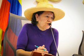 Comisión V de la Cámara aprueba en primer debate el proyecto de ley que exalta la tejeduría en palma de Pindo como patrimonio cultural y motor de desarrollo para el Huila