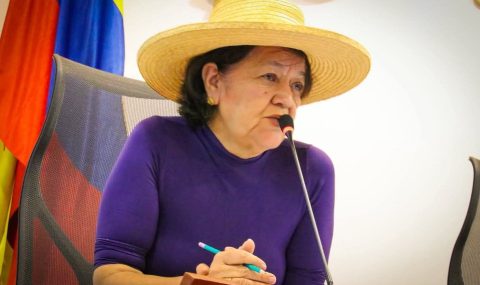 Comisión V de la Cámara aprueba en primer debate el proyecto de ley que exalta la tejeduría en palma de Pindo como patrimonio cultural y motor de desarrollo para el Huila