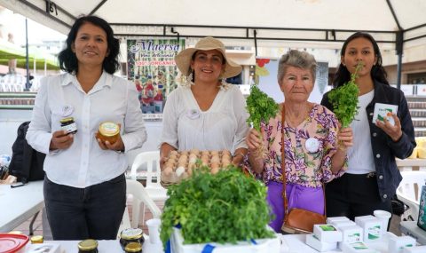 Mercado Campesino “Por un Huila Grande”, una gran vitrina para los productores agropecuarios y emprendedores del campo