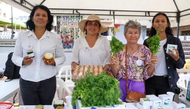 Mercado Campesino “Por un Huila Grande”, una gran vitrina para los productores agropecuarios y emprendedores del campo