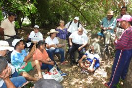 Representante Leyla Rincón, denuncia afectación ambiental en el humedal urbano Los Colores – “El Chaparro”