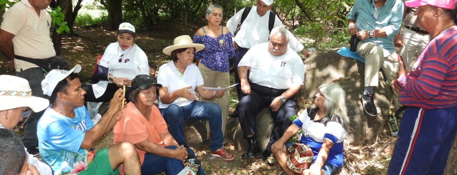 Representante Leyla Rincón, denuncia afectación ambiental en el humedal urbano Los Colores – “El Chaparro”