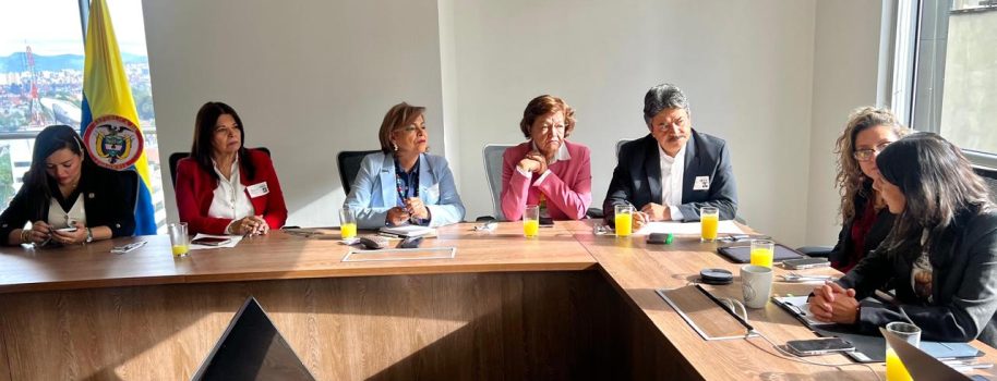Bancada Parlamentaria del Huila solicita al Gobierno Nacional agilizar trámite pendiente sobre el viaducto de Pericongo