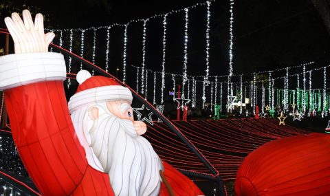 Neiva encendió la magia de la Navidad con emotivo espectáculo de luz y alegría
