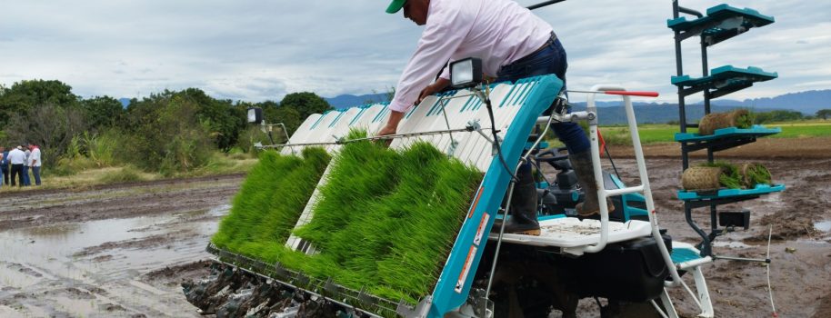 Gobernación le apuesta al trasplante mecanizado de arroz: una gran alternativa para reducir costos de producción