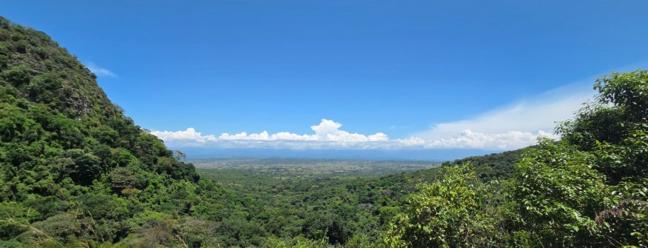 Ecopetrol e ISA Energía sellan acuerdo para conservar el bosque seco tropical en el Huila