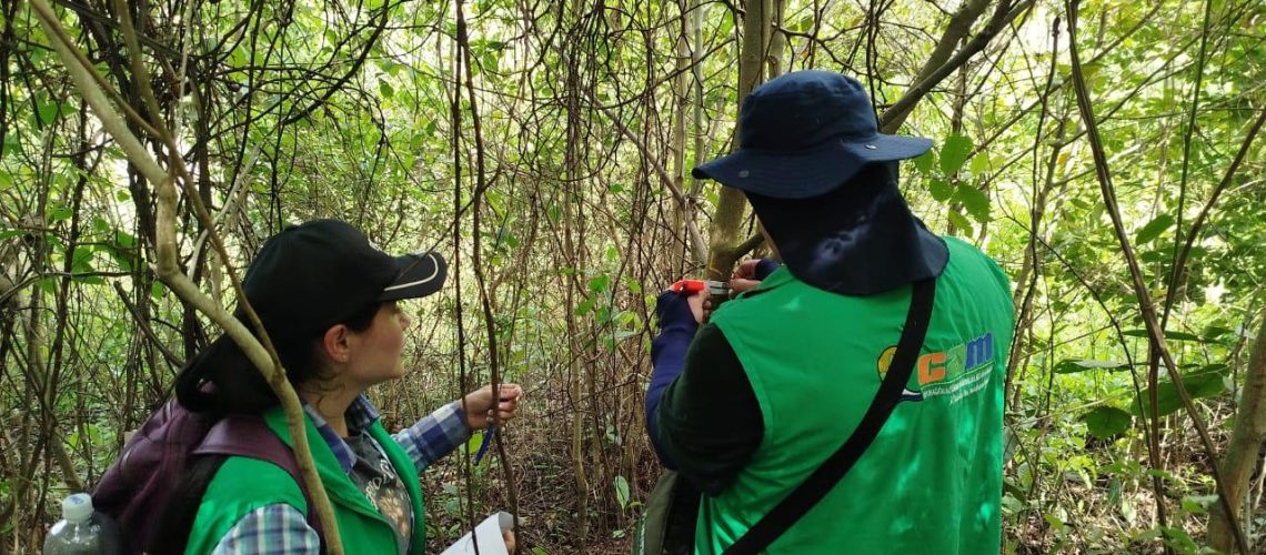CAM fortalece control ambiental, seguimiento vial y gestión del riesgo en la ruta 45