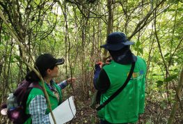 CAM fortalece control ambiental, seguimiento vial y gestión del riesgo en la ruta 45