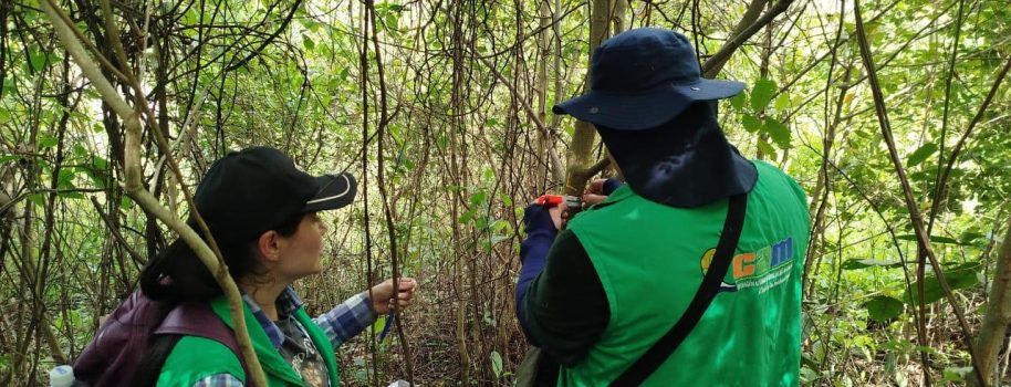 CAM fortalece control ambiental, seguimiento vial y gestión del riesgo en la ruta 45