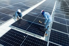 Comfamiliar reduce 50% su consumo de energía y logra un impacto ambiental comparable a plantar más de 7.500 árboles