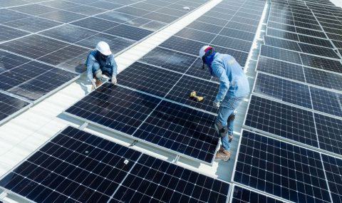 Comfamiliar reduce 50% su consumo de energía y logra un impacto ambiental comparable a plantar más de 7.500 árboles