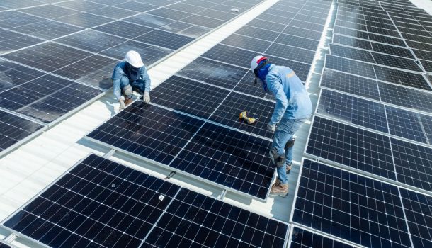 Comfamiliar reduce 50% su consumo de energía y logra un impacto ambiental comparable a plantar más de 7.500 árboles