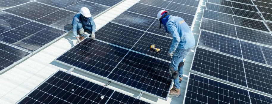Comfamiliar reduce 50% su consumo de energía y logra un impacto ambiental comparable a plantar más de 7.500 árboles