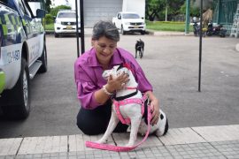 Estrellita recibió la placa oficial de la Policía Nacional de Colombia