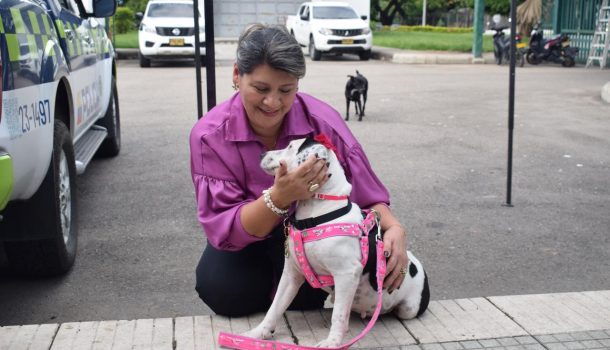 Estrellita recibió la placa oficial de la Policía Nacional de Colombia