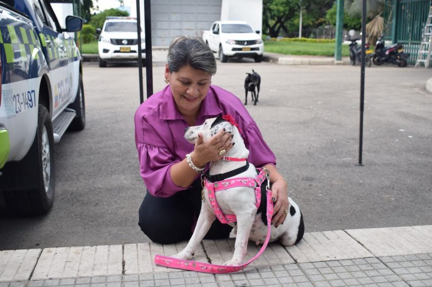 Estrellita recibió la placa oficial de la Policía Nacional de Colombia