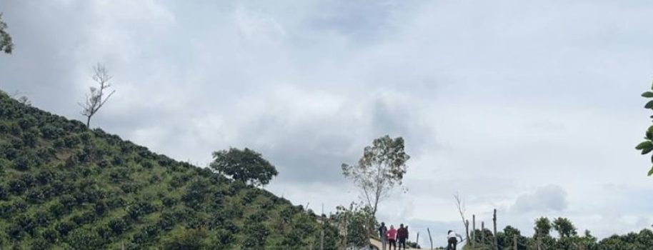 Invías y Consejo Regional Indígena del Huila, avanzan en la construcción de 12 Caminos Comunitarios que benefician a 7.427 personas