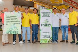 Subsector hortofrutícola del Huila habló de sus logros y retos frente al fortalecimiento de este renglón productivo