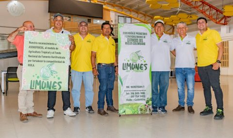 Subsector hortofrutícola del Huila habló de sus logros y retos frente al fortalecimiento de este renglón productivo