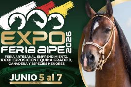 Aipe se prepara para vivir la Gran Expoferia 2026