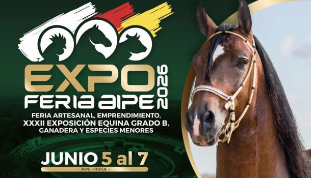 Aipe se prepara para vivir la Gran Expoferia 2026