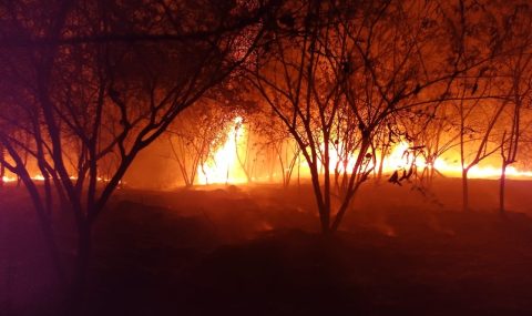 CAM prohíbe todo tipo de quemas en el Huila ante la llegada del fenómeno de El Niño