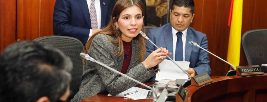 María Lucía Villalba es la nueva vicepresidenta de la Comisión Sexta del Senado