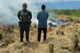 Capturado hombre que generó quema en arrocera en el Huila