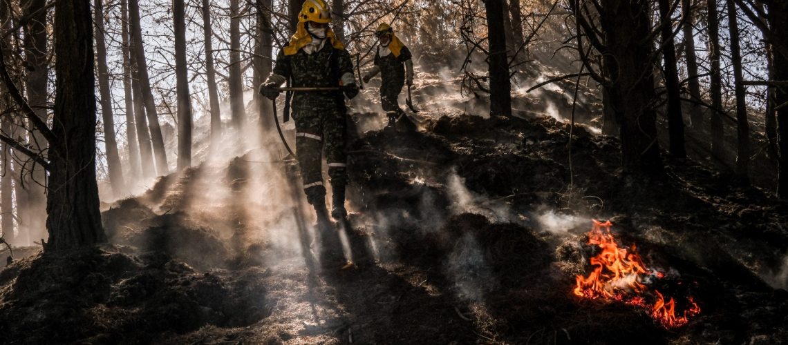 Incendios, fenómeno del niño y otras amenazas: Greenpeace pide fortalecer la prevención del riesgo en Colombia
