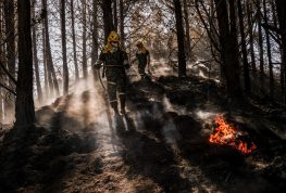 Incendios, fenómeno del niño y otras amenazas: Greenpeace pide fortalecer la prevención del riesgo en Colombia