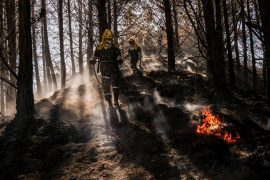 Incendios, fenómeno del niño y otras amenazas: Greenpeace pide fortalecer la prevención del riesgo en Colombia