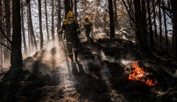 Incendios, fenómeno del niño y otras amenazas: Greenpeace pide fortalecer la prevención del riesgo en Colombia