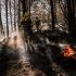 Incendios, fenómeno del niño y otras amenazas: Greenpeace pide fortalecer la prevención del riesgo en Colombia