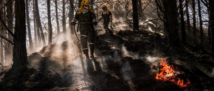 Incendios, fenómeno del niño y otras amenazas: Greenpeace pide fortalecer la prevención del riesgo en Colombia