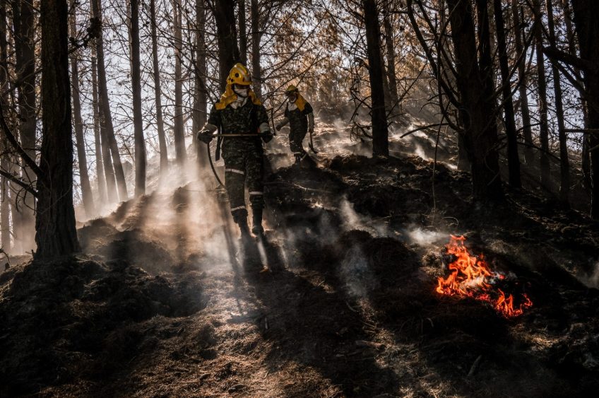 Incendios, fenómeno del niño y otras amenazas: Greenpeace pide fortalecer la prevención del riesgo en Colombia