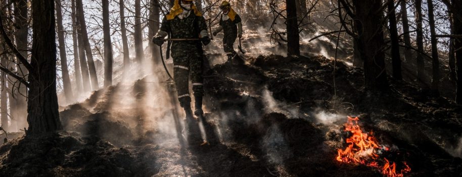 Incendios, fenómeno del niño y otras amenazas: Greenpeace pide fortalecer la prevención del riesgo en Colombia