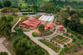 Gobernación del Huila presentó ante la Asamblea Departamental, proyectos estratégicos para impulsar la producción y agroindustrialización