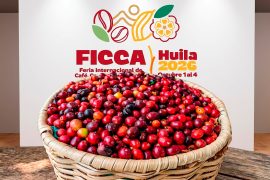 Ya viene la FICCA 2026, la plataforma con la que el Huila reafirma su liderazgo como potencia agropecuaria y destino agroturístico