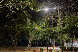 Zona verde de IV Centenario Casas – Bosques de San Luis, sur de Neiva, ya cuenta con expansión de alumbrado público